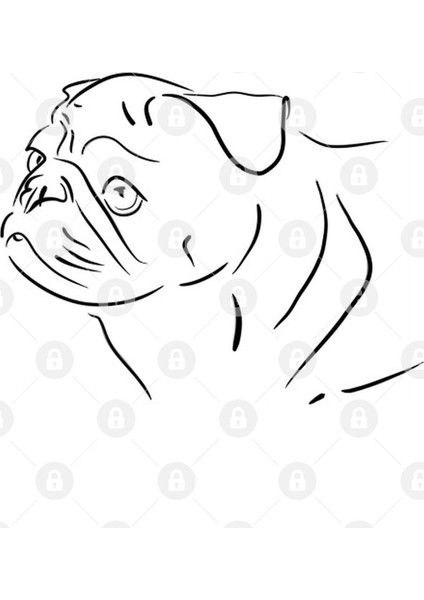 Pug Dog Line Drawing Kupa Bardak