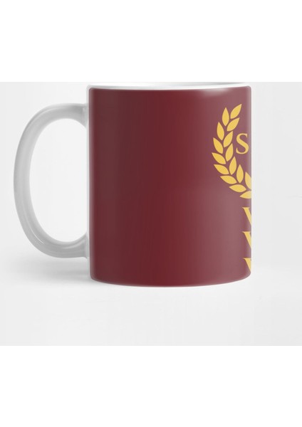 Julius Caesar Latin Quote Veni Vidi Vici Spqr Roman History Kupa Bardak