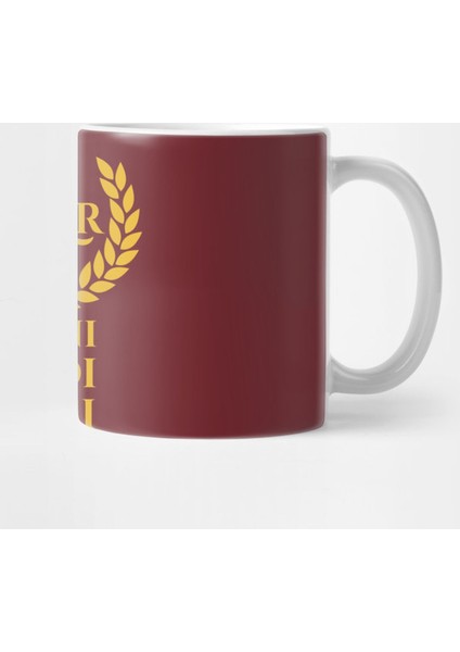Julius Caesar Latin Quote Veni Vidi Vici Spqr Roman History Kupa Bardak