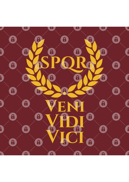 Julius Caesar Latin Quote Veni Vidi Vici Spqr Roman History Kupa Bardak