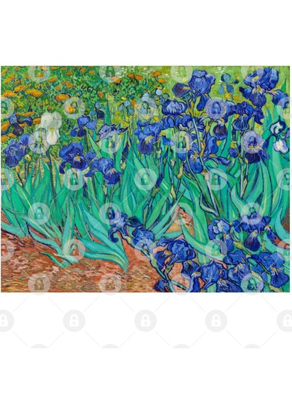 Irises (1889) By Vincent Van Gogh Kupa Bardak