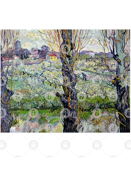 Vincent Van Gogh - View Of Arles, Flowering Orchards Kupa Bardak