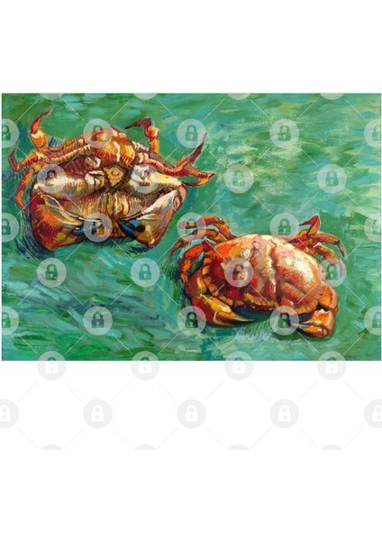 Vincent Van Gogh - Two Crabs Kupa Bardak