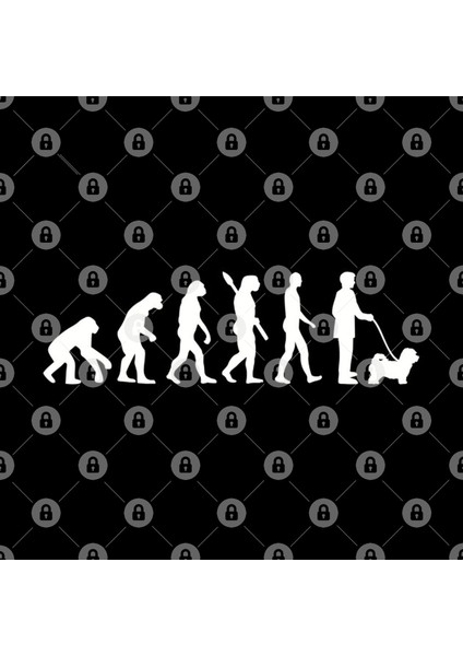 Maltipoo Evolution Kupa Bardak