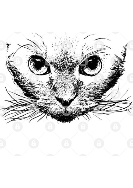 Devon Rex Kupa Bardak