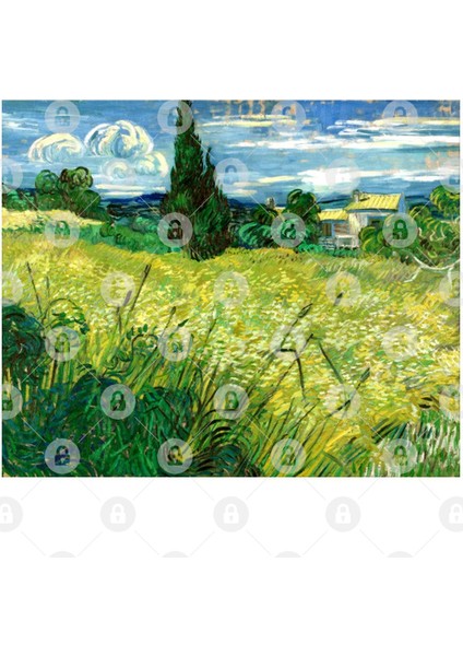 Vincent Van Gogh - Green Field Kupa Bardak