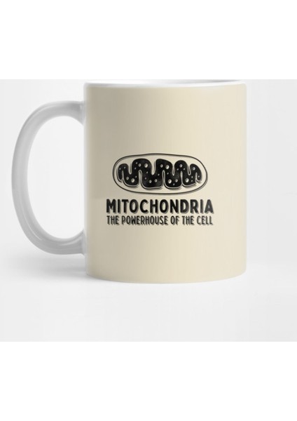 Mitochondria The Powerhouse Of The Cell Kupa Bardak