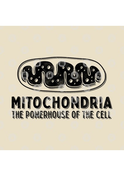 Mitochondria The Powerhouse Of The Cell Kupa Bardak