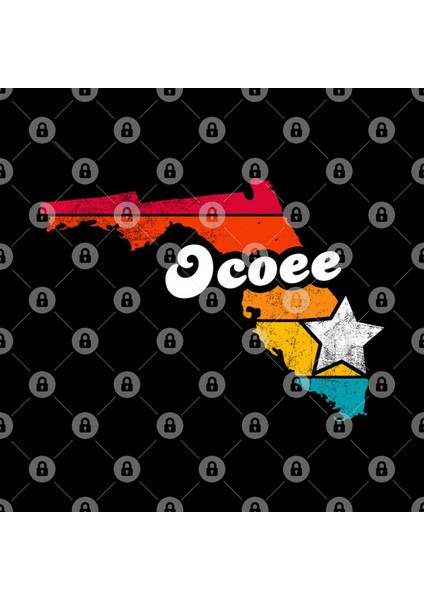 Ocoee Florida Vintage Distressed Souvenir Kupa Bardak