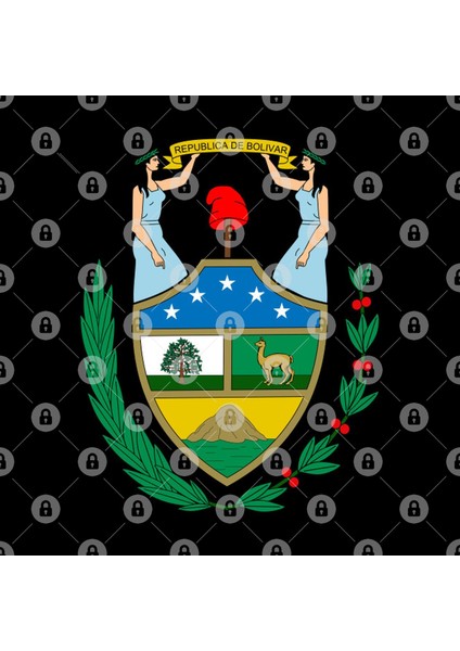 First Coat Of Arms Of Bolivia,Formerly Named The Republic Of BolíVar İn Honor Of SimóN BolíV Kupa Bardak
