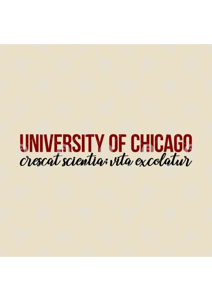 Crescat Scientia; Vita Excolatur - University Of Chicago Motto Kupa Bardak