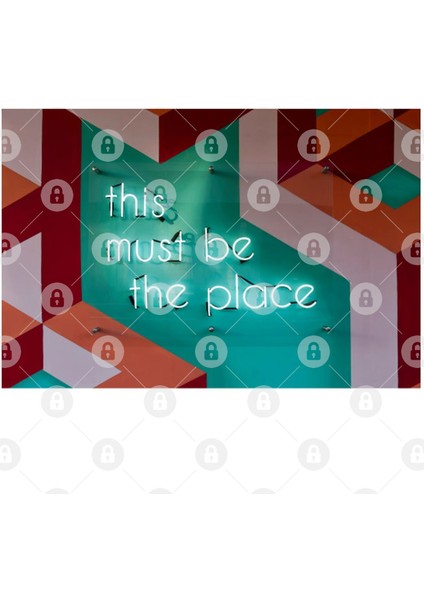 This Must Be The Place Kupa Bardak