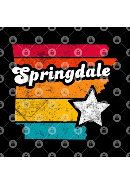 Springdale Arkansas Vintage Distressed Souvenir Kupa Bardak