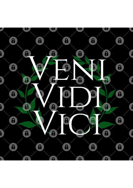 Veni Vidi Vici - I Came, I Saw, I Conquered - Roman History Julius Caesar Quote Kupa Bardak