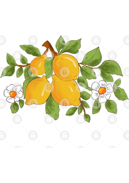 Citrus,Sicilian Style Summer Decor Kupa Bardak