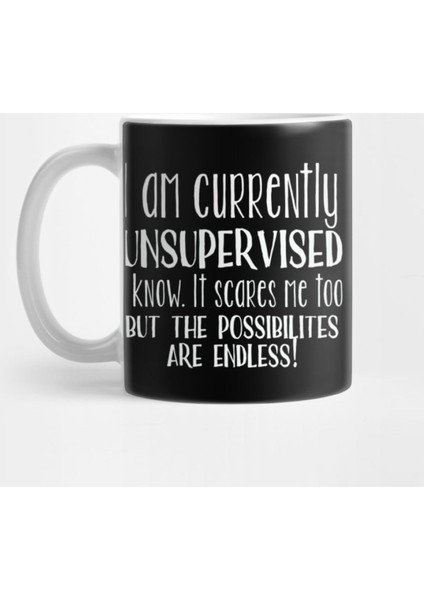I Am Currently Unsupervised I Know It Scares Me Too Kupa Bardak