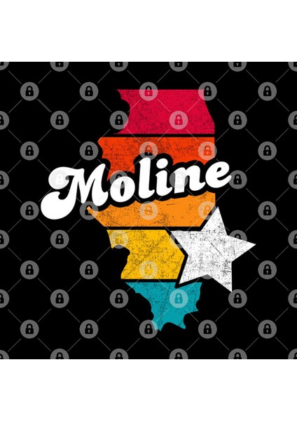 Moline Illinois Vintage Distressed Souvenir Kupa Bardak