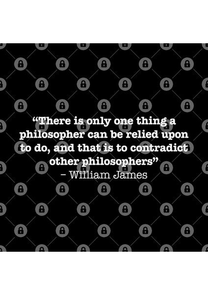 There İs Only One Thing A Philosopher Can Be Relied Upon To Do,And That İs To Contradict Other Kupa Bardak