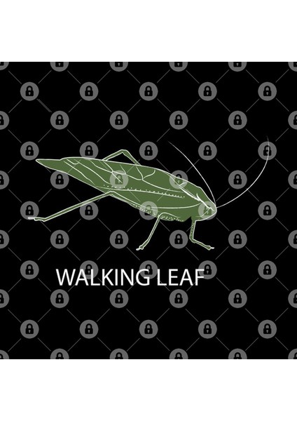 Green Walking Leaf Insect Kupa Bardak