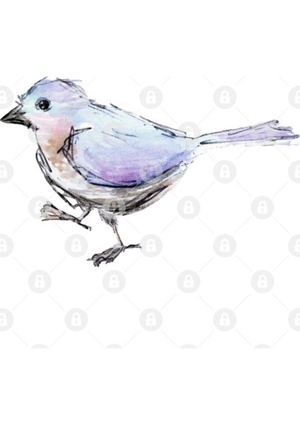 Walking Bird - Watercolour Sketch Kupa Bardak