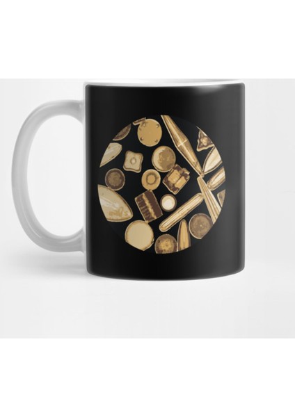 Diatom Single Cell Organism Microscope Bacteria Kupa Bardak