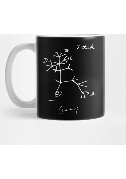 Charles Darwin'S Evolutionary Tree Of Life Sketch Kupa Bardak