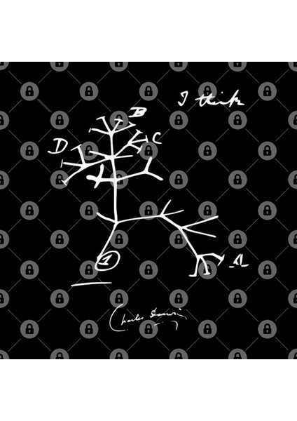 Charles Darwin'S Evolutionary Tree Of Life Sketch Kupa Bardak