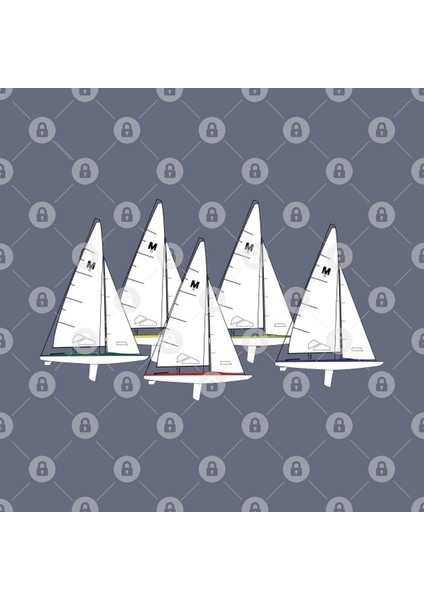 M20 Scow Sailboat Kupa Bardak