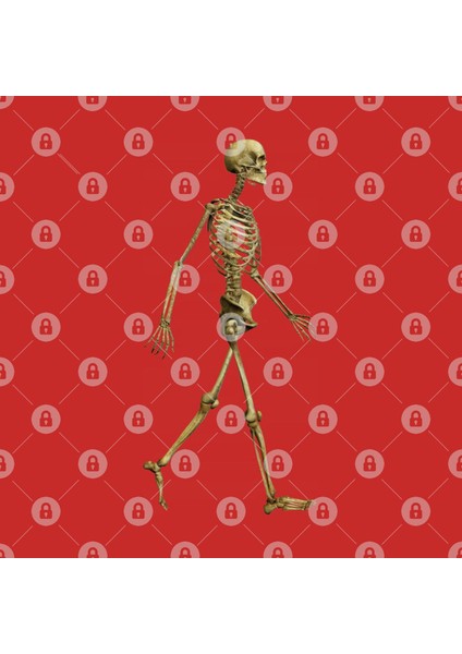 Walking Skeleton Kupa Bardak