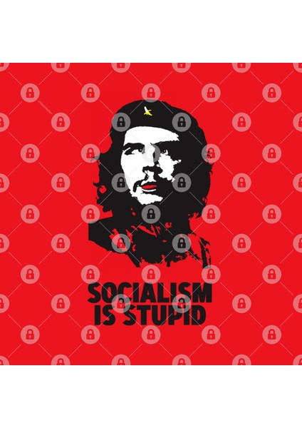 Socialism Is Stupid Kupa Bardak