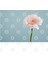 Pink Summer Floral Kupa Bardak 3