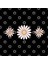 Daisy Minimal Floral Pattern - Happy Summer Flowers Kupa Bardak 3