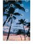 Tropical Summer Palm Trees Kupa Bardak 3