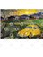 Vincent Van Gogh- Wolsvagen Bug Kupa Bardak 3