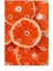 Summer Orange Slices Kupa Bardak 3