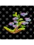 Fresh Water Fish And Plants - Congo Tetra Kupa Bardak 3