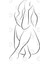 Cora'S Turn To Cry Line Drawing Kupa Bardak 3