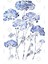 Abstract Queen Anne'S Lace Blue Kupa Bardak 3