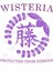 Demon Slayer Wisteria Crest Kupa Bardak 3