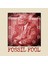 Fossil Fool Kupa Bardak 3