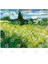 Vincent Van Gogh - Green Field Kupa Bardak 3