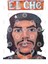 Che Guevara By Diego Manuel Kupa Bardak 3