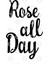 Rose All Day Kupa Bardak 3