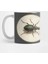 Beetle, Jan Augustin Van Der Goes 1690 Kupa Bardak 1