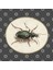 Beetle, Jan Augustin Van Der Goes 1690 Kupa Bardak 3