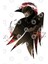 Raven'S Cloak Yagami Cardboard Dark Kupa Bardak 3