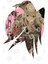 Raven'S Cloak Code 002 Cardboard Kupa Bardak 3
