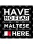 Have No Fear The Maltese İs Here Pride Proud Malta Kupa Bardak 3