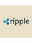 Ripple Xrp Crypto Kupa Bardak 3