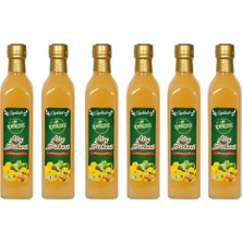 Güzeldost Katkısız Alıç Sirkesi 500 ml x 6 Adet